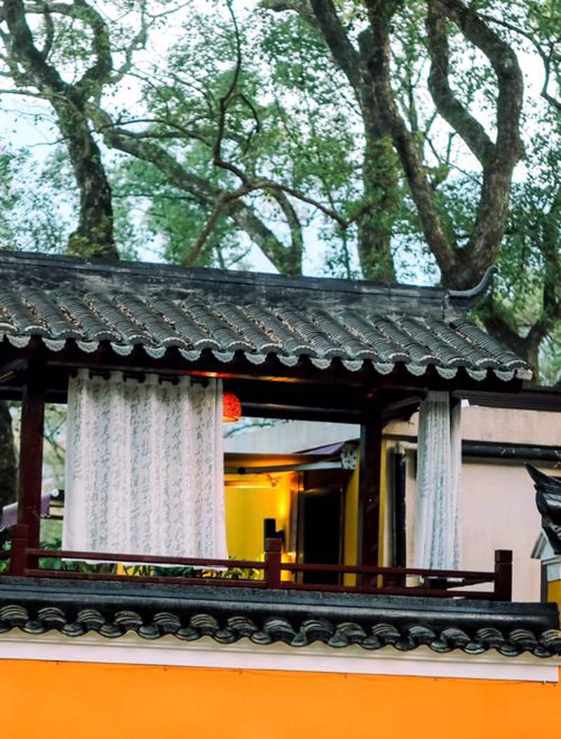 普陀山跟团路线：海岛游中的文化与自然盛宴